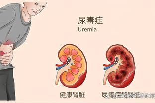 开云网页版在线登录网站截图3